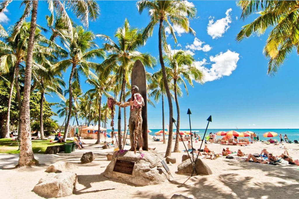 hawaii beach and palm trees